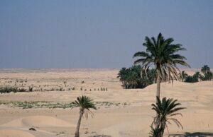 Il deserto di Tozeur
