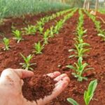Agraria