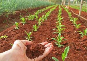 Agraria