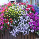 Balcone fiorito