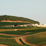 Feudo Arancio