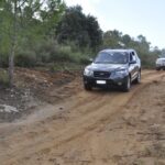 Tuttoiblei suv