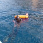 Pesca in apnea, boe
