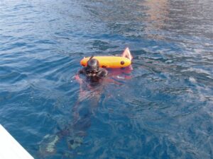 Pesca in apnea, boe