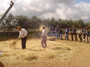 L'aratura e la semina