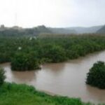Aiuti agll'agricoltura