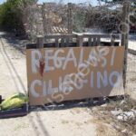 Crolla il prezzo dell'ortofrutta