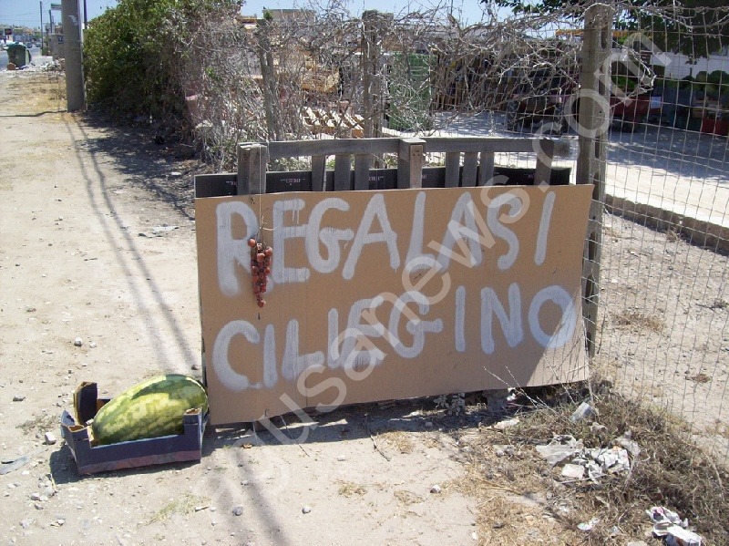 Crolla il prezzo dell’ortofrutta al mercato di Santa Croce