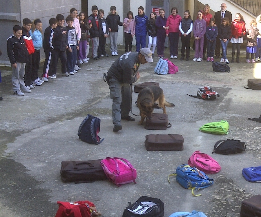 Il cane finanziere Itla fa lezione a scuola a Ragusa
