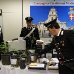 Operazione Pollice Verde