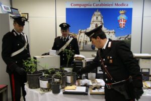 Operazione Pollice Verde