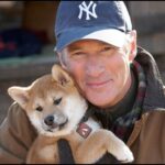 Hachiko