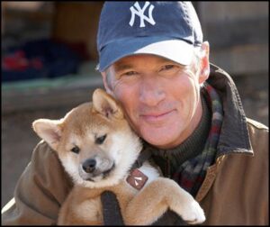 Hachiko