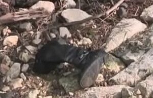 La scarpa di Claudia