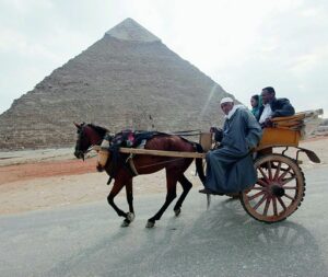 Scambi commerciali con l’Egitto, Ragusa: – 2 mln di euro