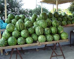 Rapinarono un agricoltore, arrestati a Librino