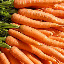 Nuova Igp per la carota di Ispica