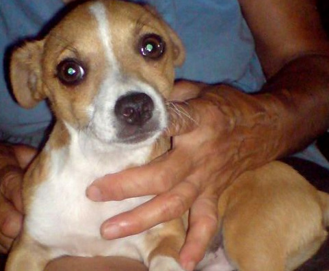 100 mila euro per il canile