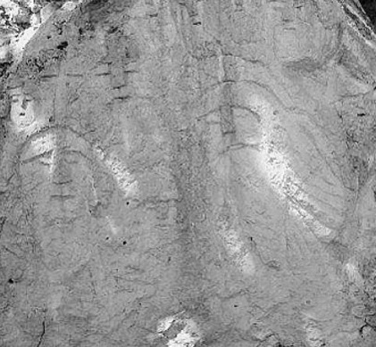 Alla luce nuove incisioni sulla roccia