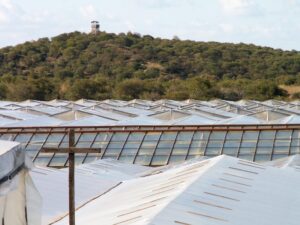 I tunisini lasciano le serre iblee