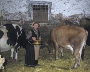 Salvare latte e stalle, Coldiretti in piazza a Ragusa