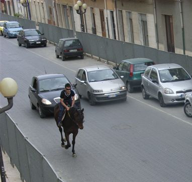 L’Enpa contro il palio dei cavalli di Acate