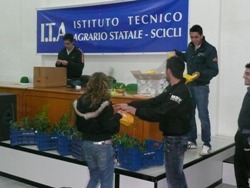 Giornale dell’albero all’Itas
