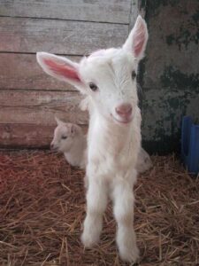 Il vero senso della Pasqua…