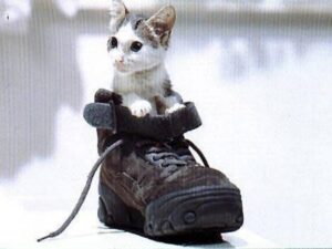 Iblei espansivi, curiosi e depistatori