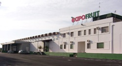 Apofruit e Risorgimento, interviene Pino Occhipinti