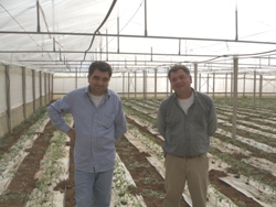 Mercati dei produttori: le perplessità degli operatori