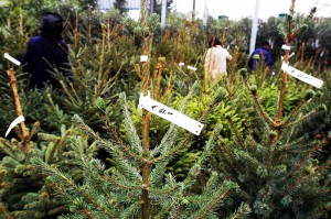 Ladri nelle campagne, i carabinieri setacciano Acate