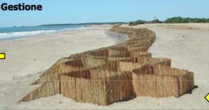 Ripascimento con canneto a scacchiera