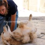 Alessia e il cane attore Tomak sul set