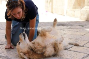 Alessia e il cane attore Tomak sul set