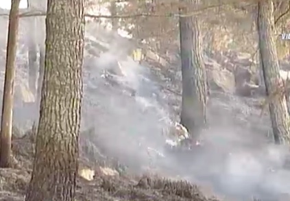 Incendio di vaste proporzioni in un bosco di Giarratana. 2 canadair