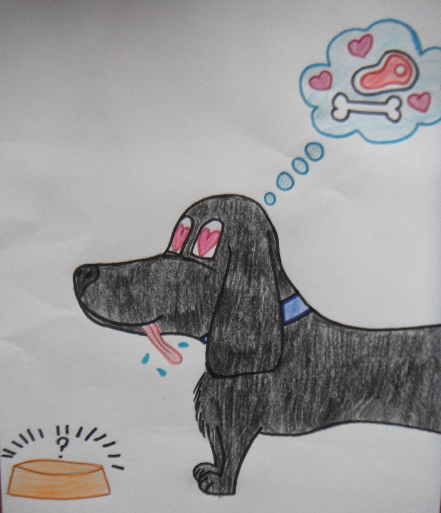 La scuola Vittorini Cataudella premiata per una Pet Story