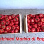 I pomodori