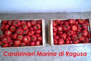 I pomodori