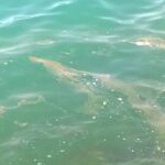 Il mare di Donnalucata