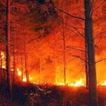 Incendio a Casasia