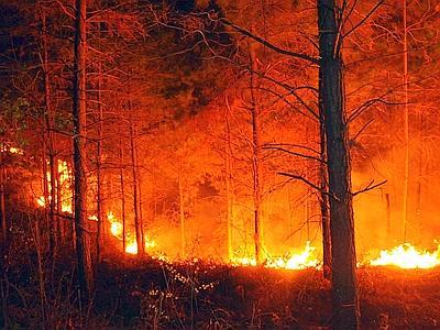 Incendio a Casasia