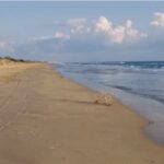 Back to the beach