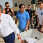 la tartaruga Montalbano