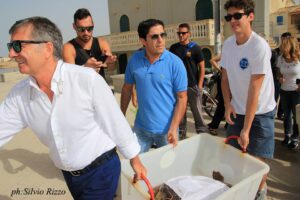 la tartaruga Montalbano