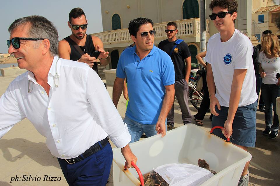 Liberata una tartaruga nel mare di Montalbano