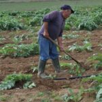 Rapina ad agricoltore