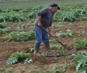 Rapina ad agricoltore