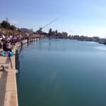 Canne al porto