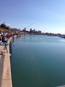 Canne al porto
